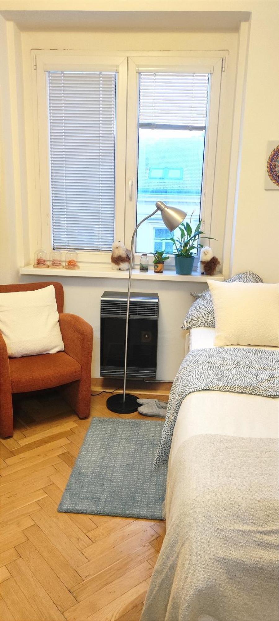 Accommodatie bij particulieren Warm In The Beautiful Smichov -